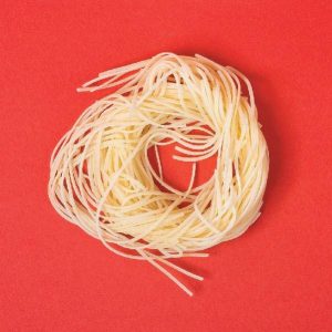 Fidea cuiburi Hutton